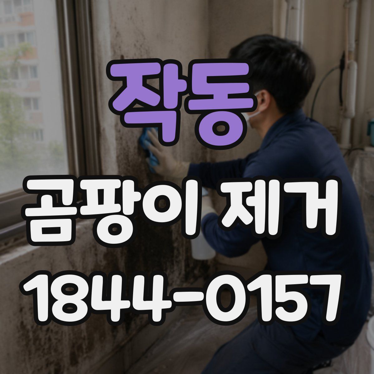 작동 곰팡이 제거