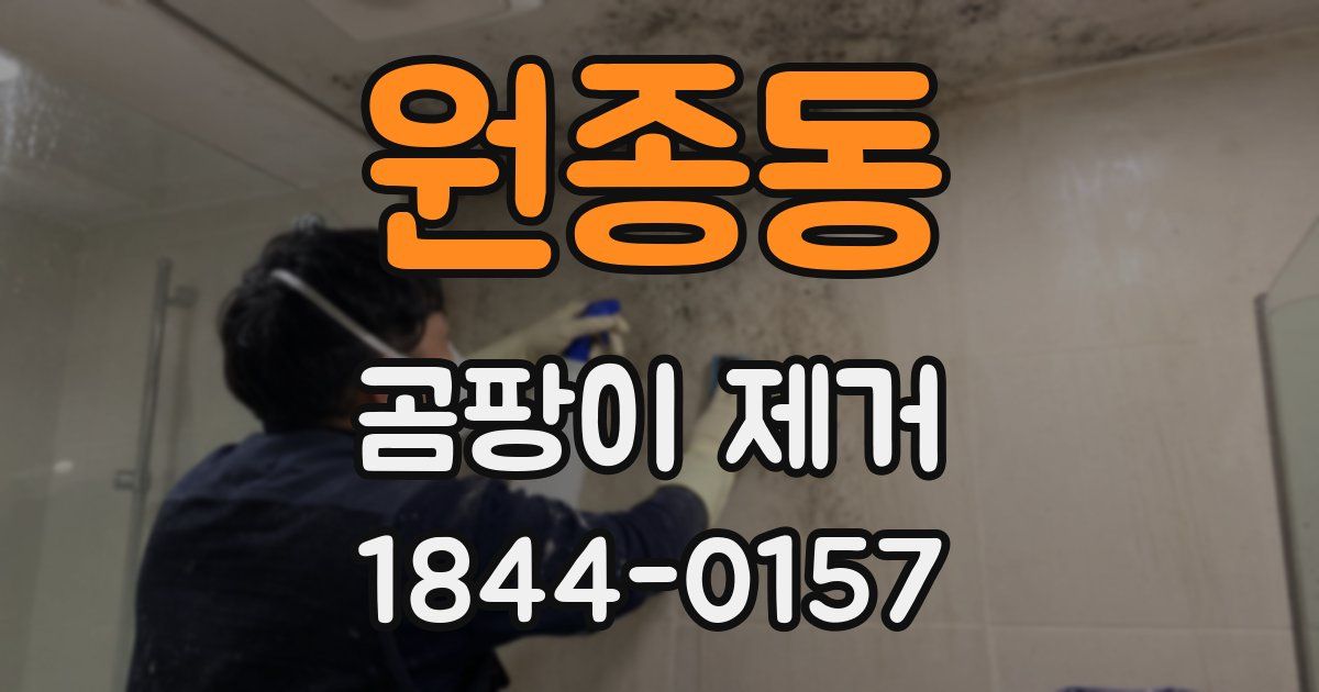 원종동 곰팡이 제거