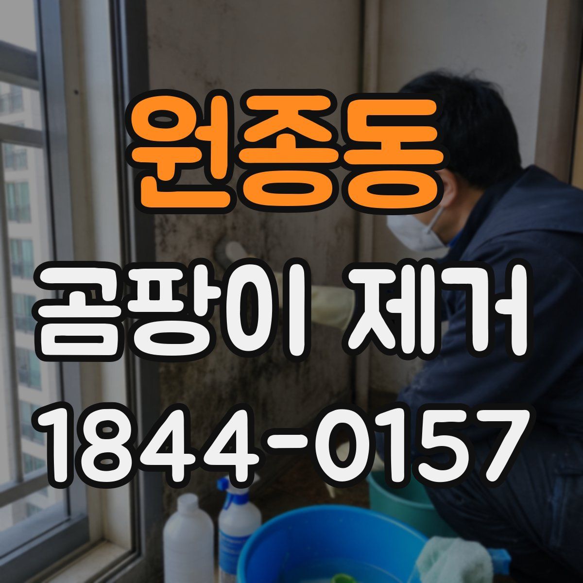 원종동 곰팡이 제거