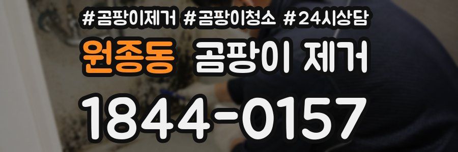 원종동 곰팡이 제거