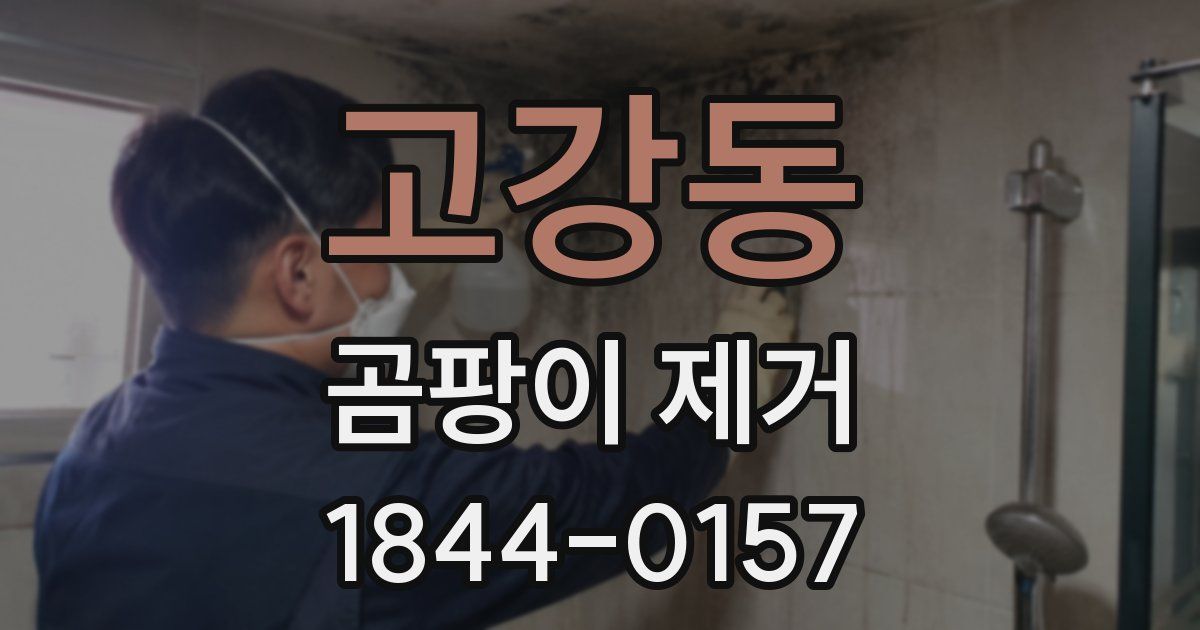 고강동 곰팡이 제거