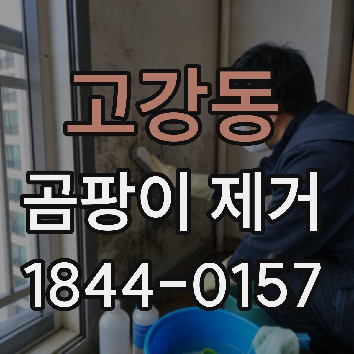 고강동 곰팡이 제거