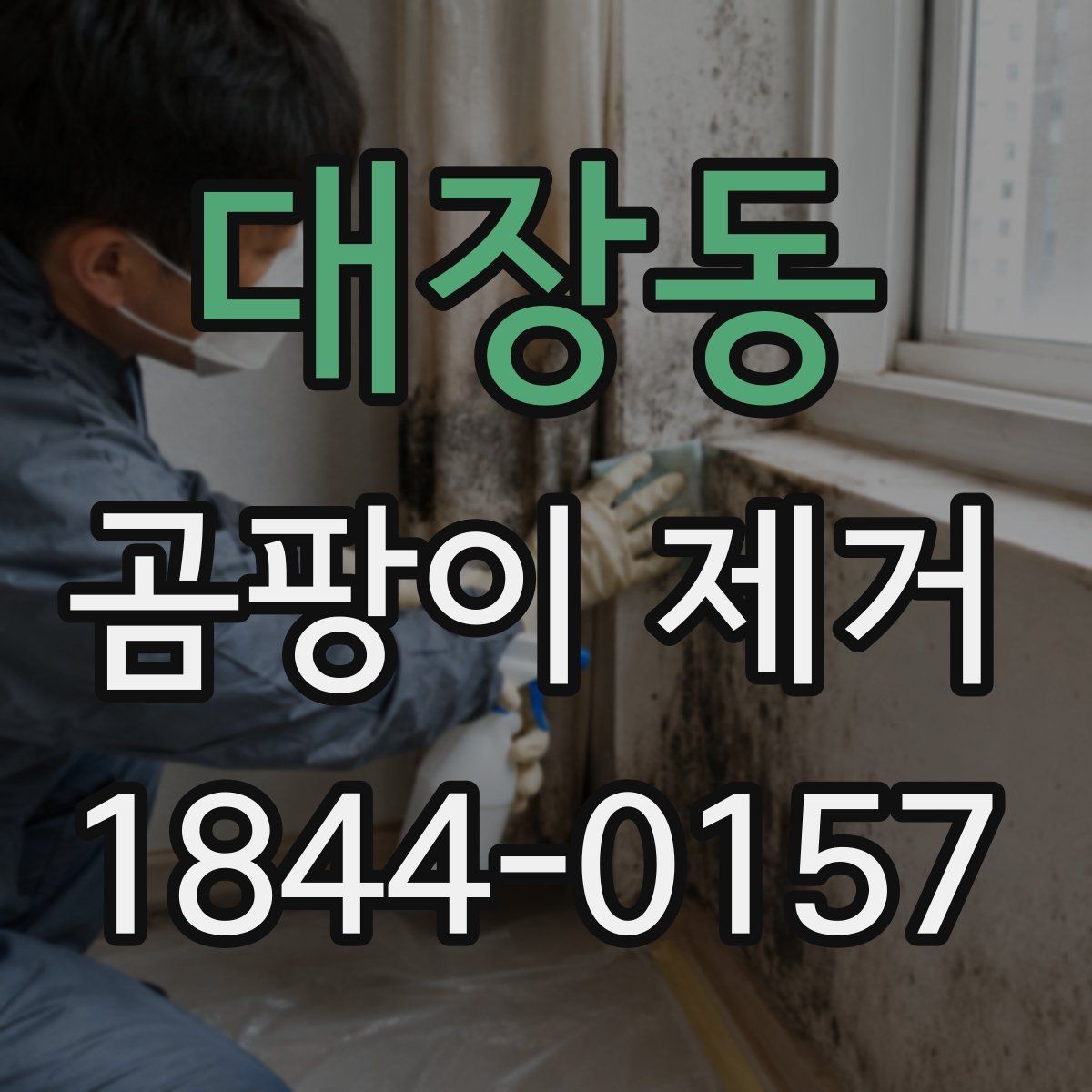 대장동 곰팡이 제거 결로가 반복되는 계절별 관리 포인트