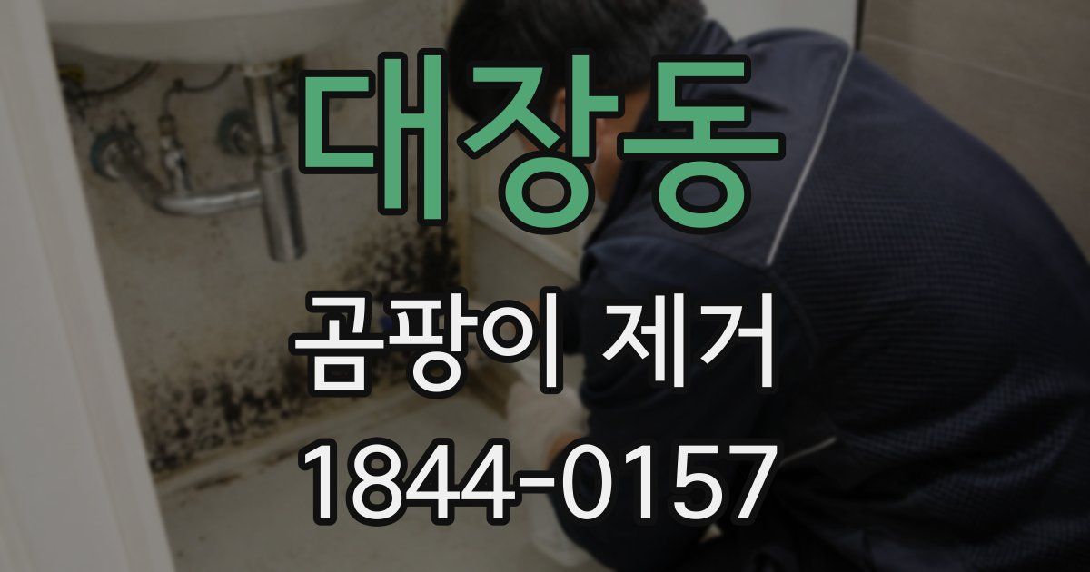 대장동 곰팡이 제거