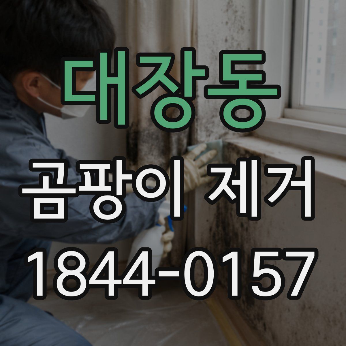 대장동 곰팡이 제거