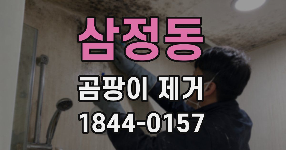 삼정동 곰팡이 제거