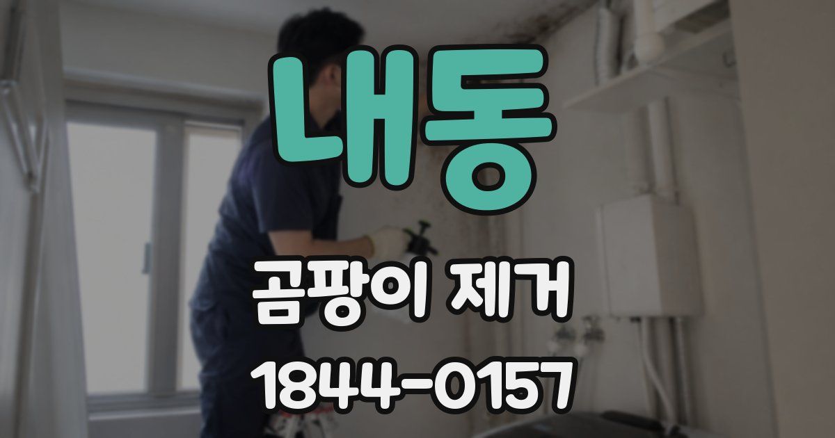내동 곰팡이 제거