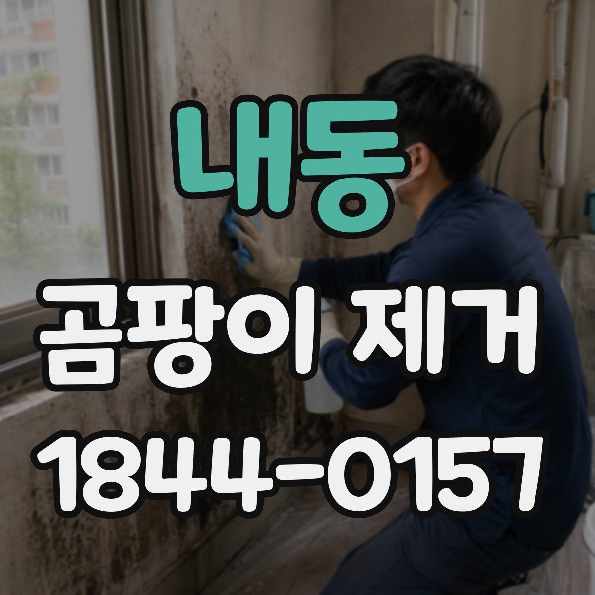 내동 곰팡이 제거