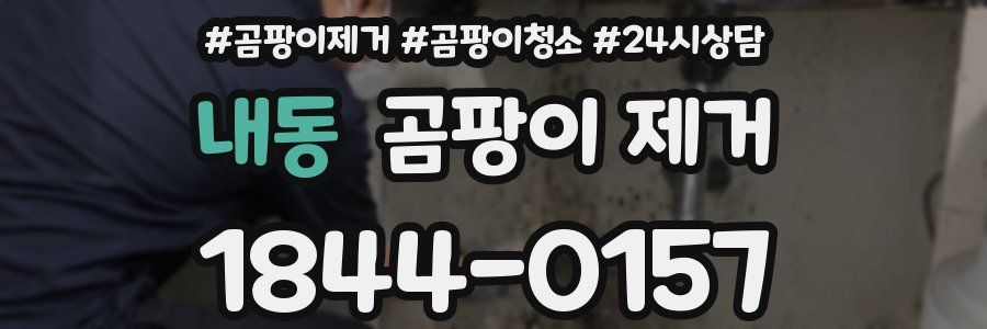 내동 곰팡이 제거