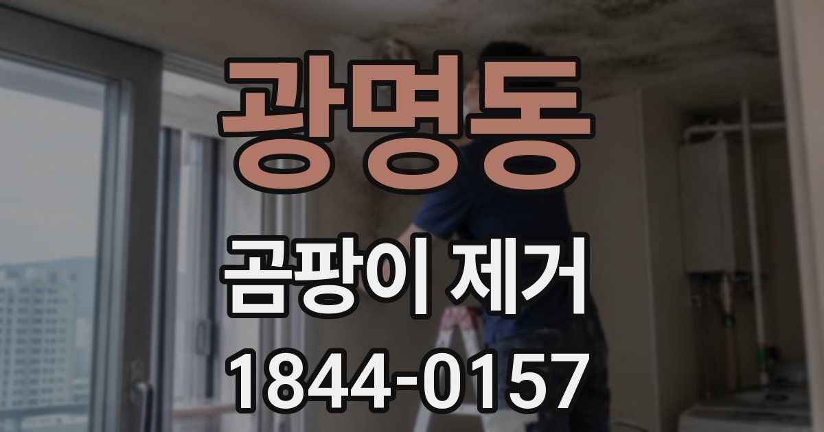 광명동 곰팡이 제거
