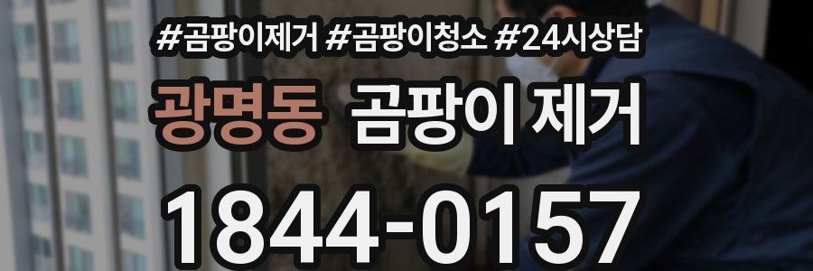 광명동 곰팡이 제거