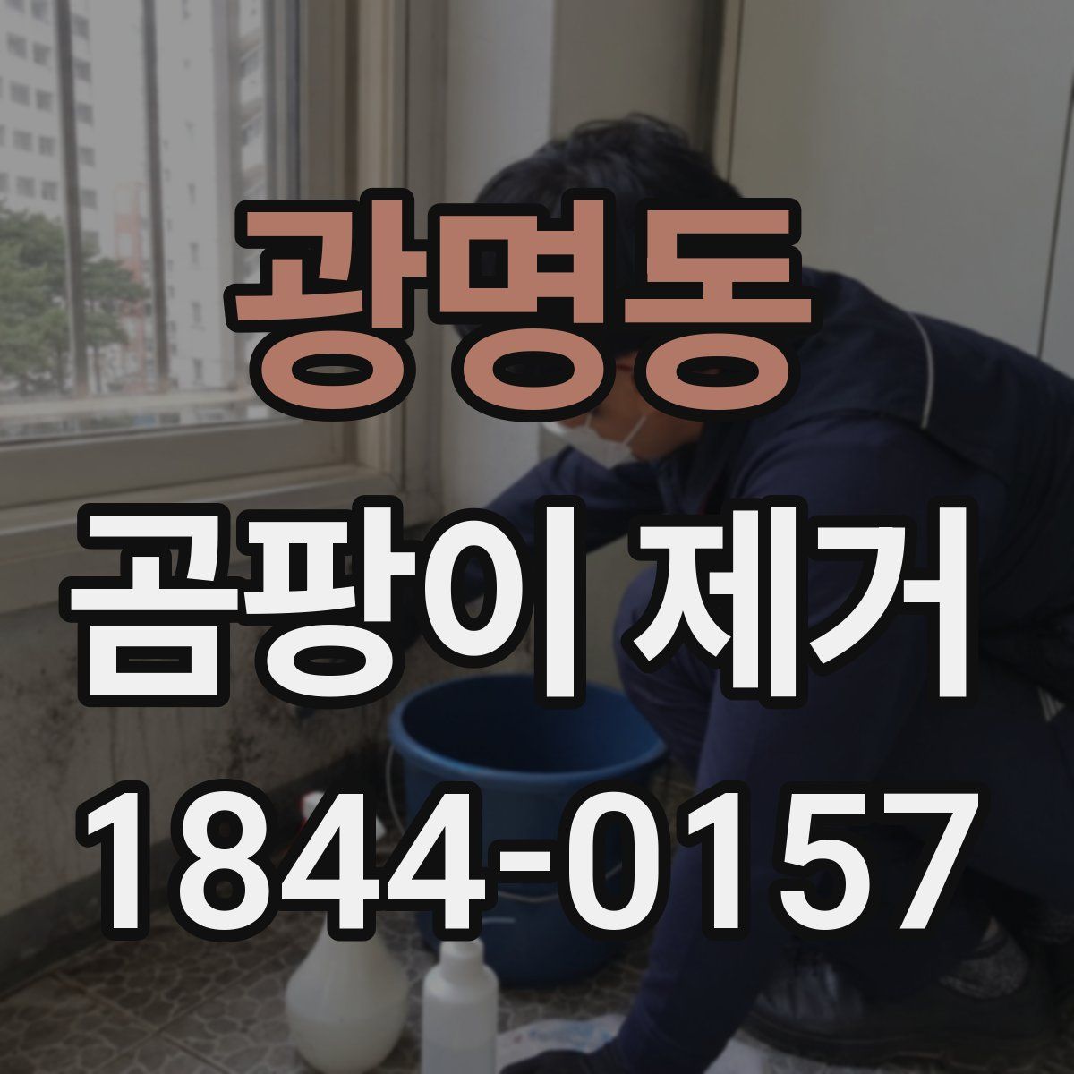 광명동 곰팡이 제거