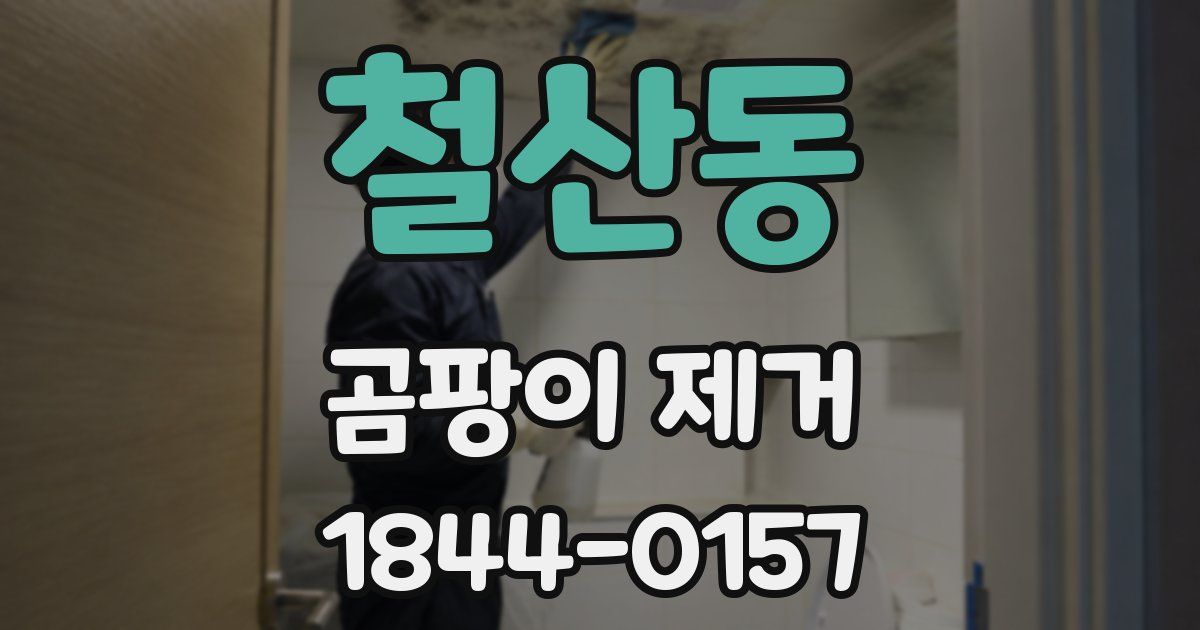 철산동 곰팡이 제거