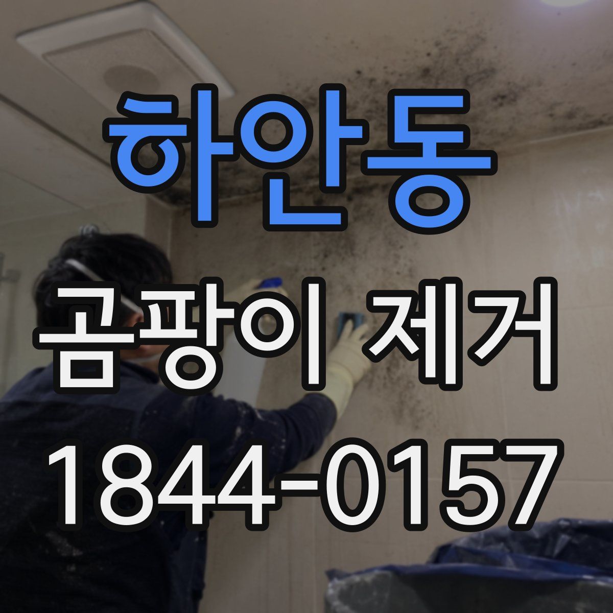 하안동 곰팡이 제거