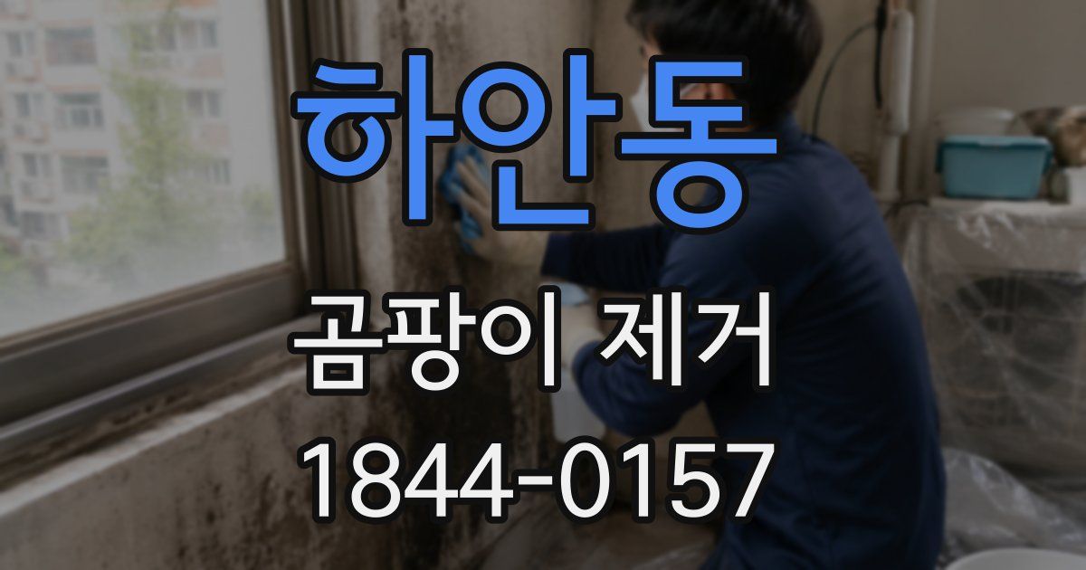 하안동 곰팡이 제거