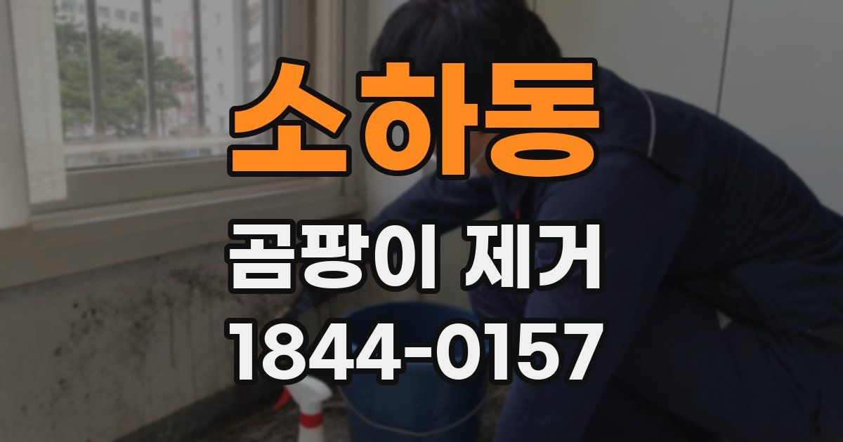소하동 곰팡이 제거