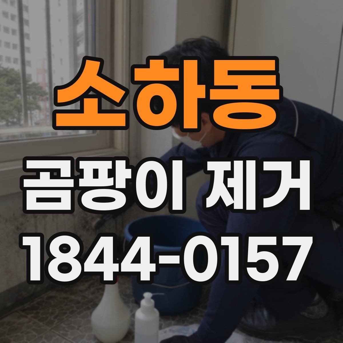 소하동 곰팡이 제거