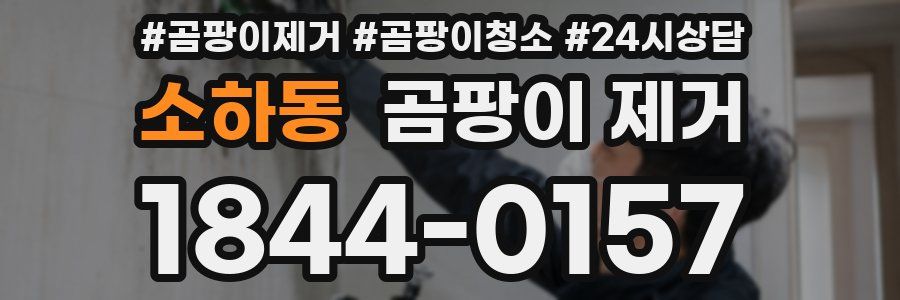 소하동 곰팡이 제거