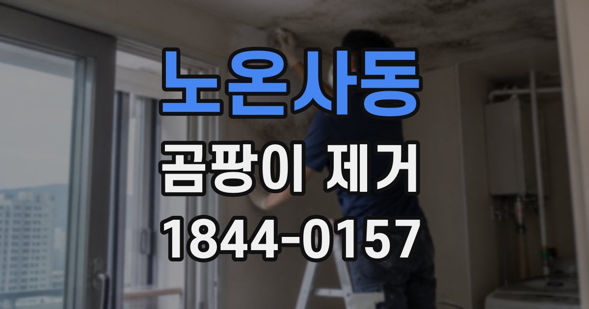 노온사동 곰팡이 제거