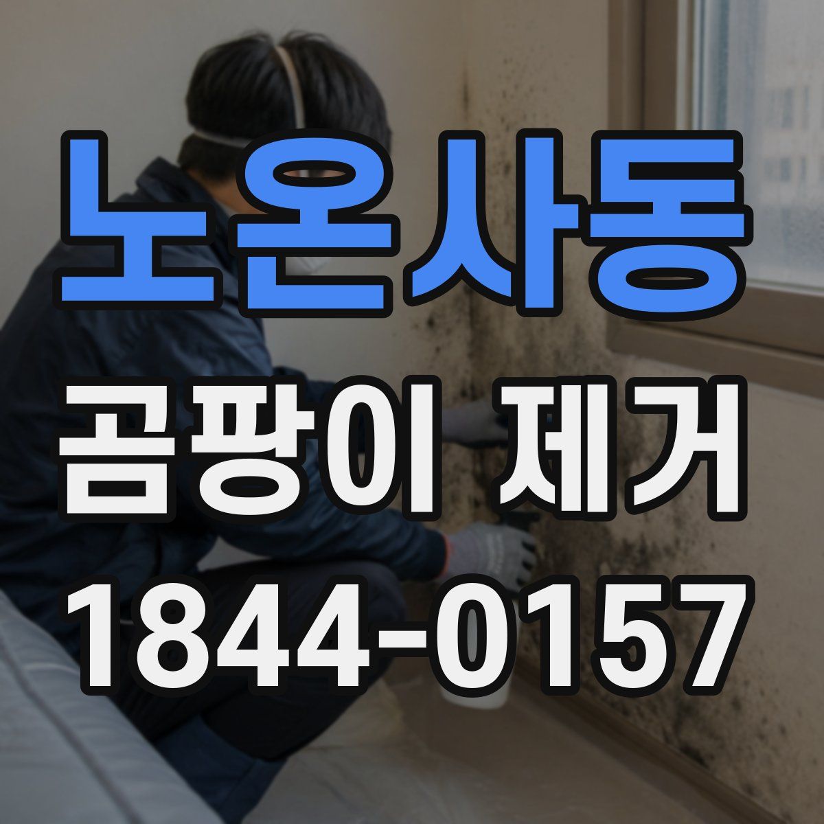 노온사동 곰팡이 제거