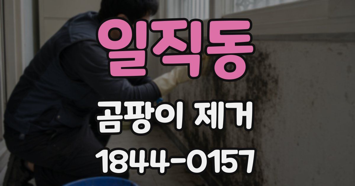 일직동 곰팡이 제거