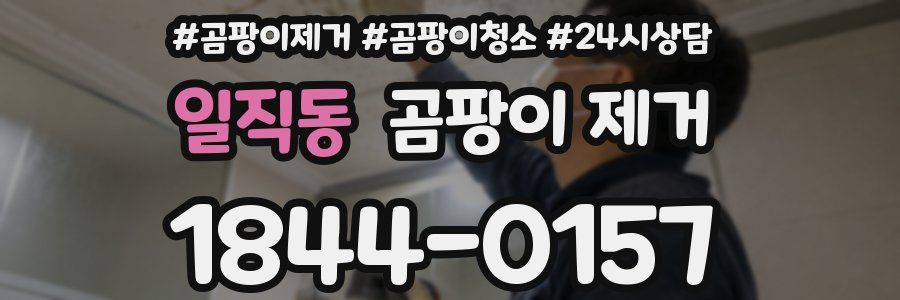 일직동 곰팡이 제거