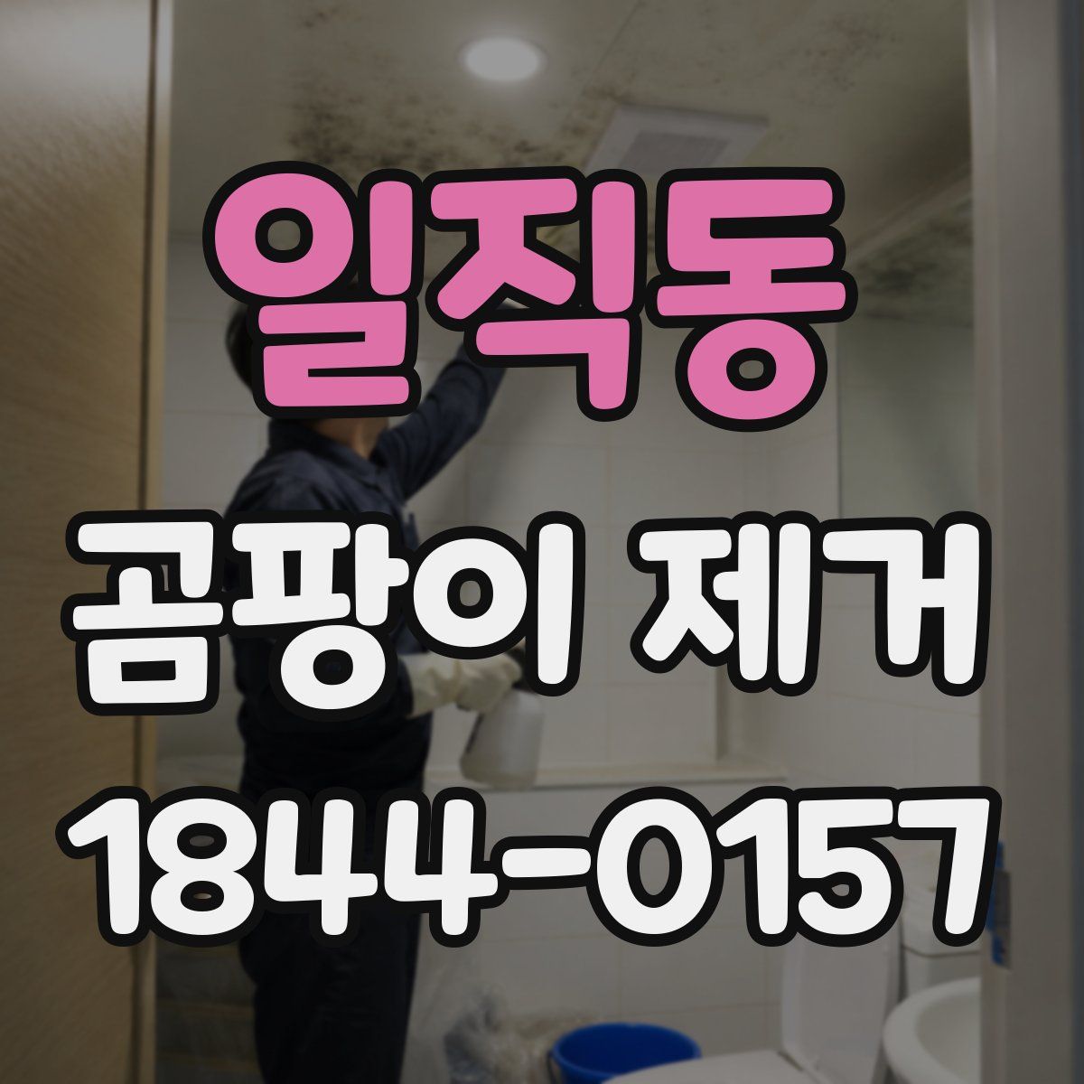 일직동 곰팡이 제거