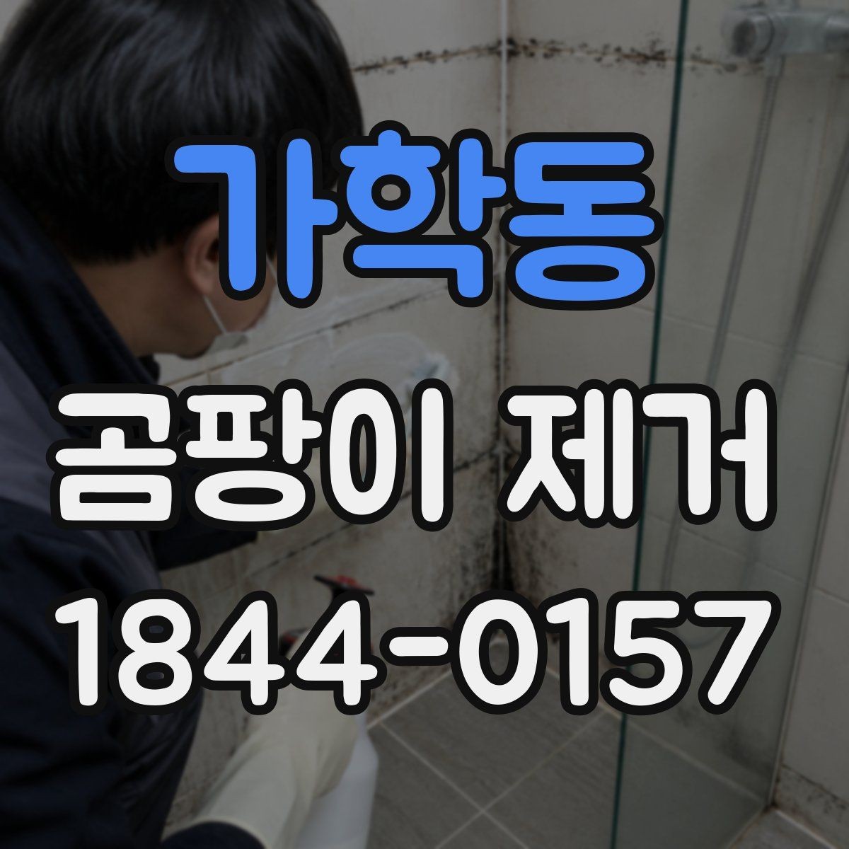 가학동 곰팡이 제거 장마철 이후 재발을 줄이는 관리 습관