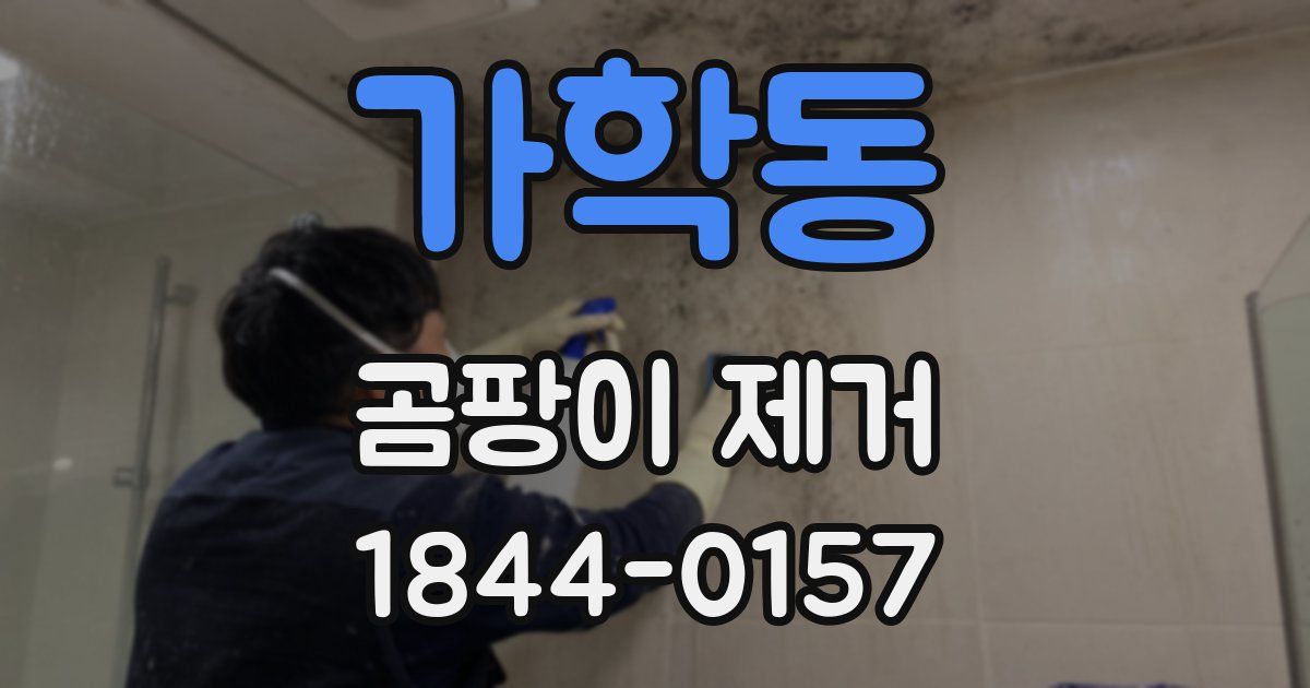가학동 곰팡이 제거