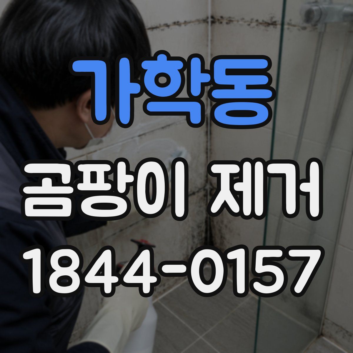 가학동 곰팡이 제거