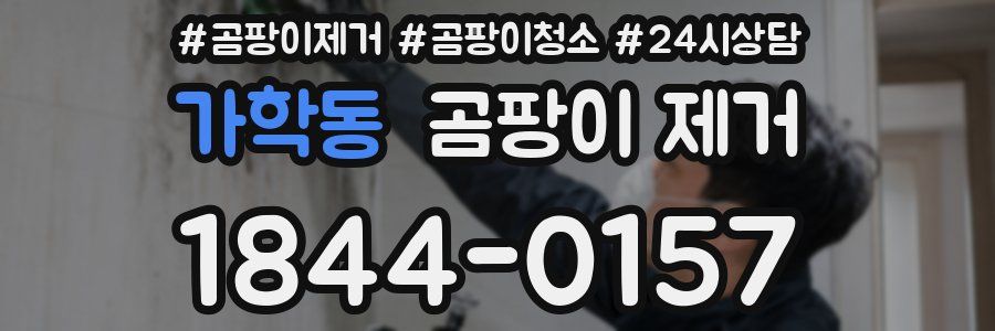 가학동 곰팡이 제거