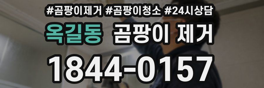 옥길동 곰팡이 제거