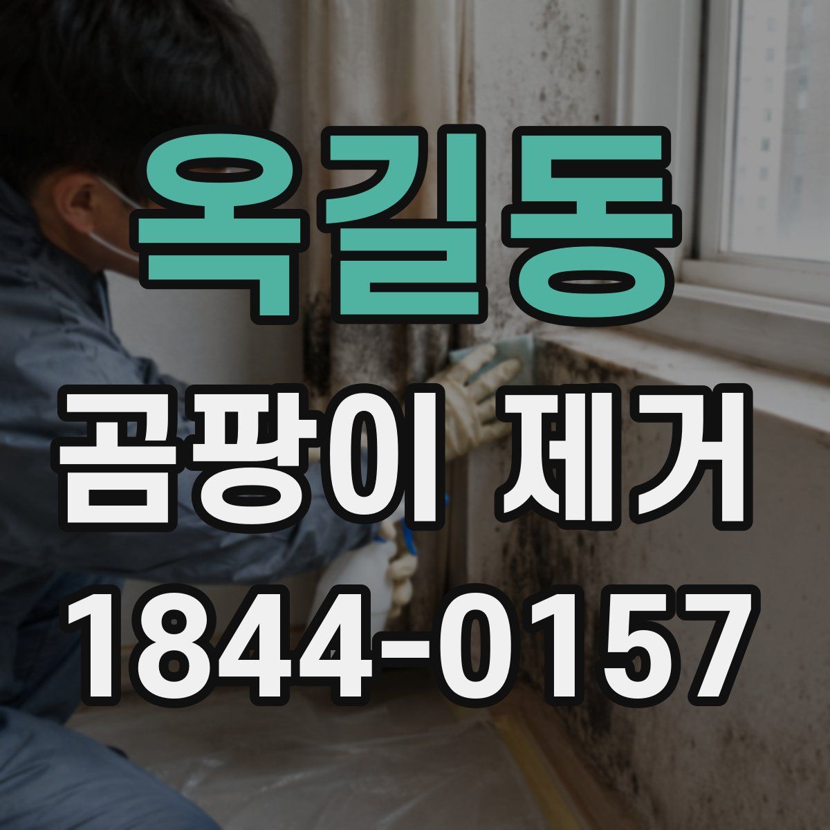 옥길동 곰팡이 제거