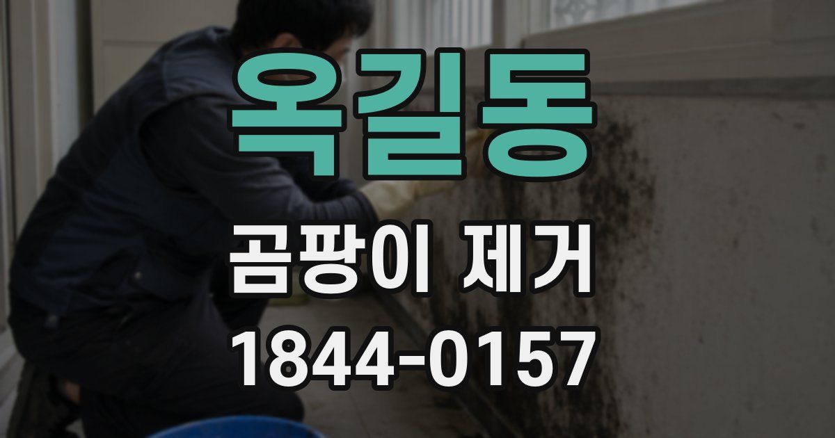 옥길동 곰팡이 제거