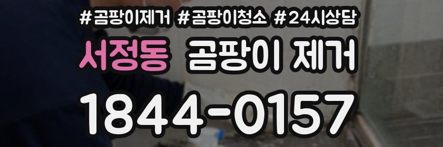 서정동 곰팡이 제거