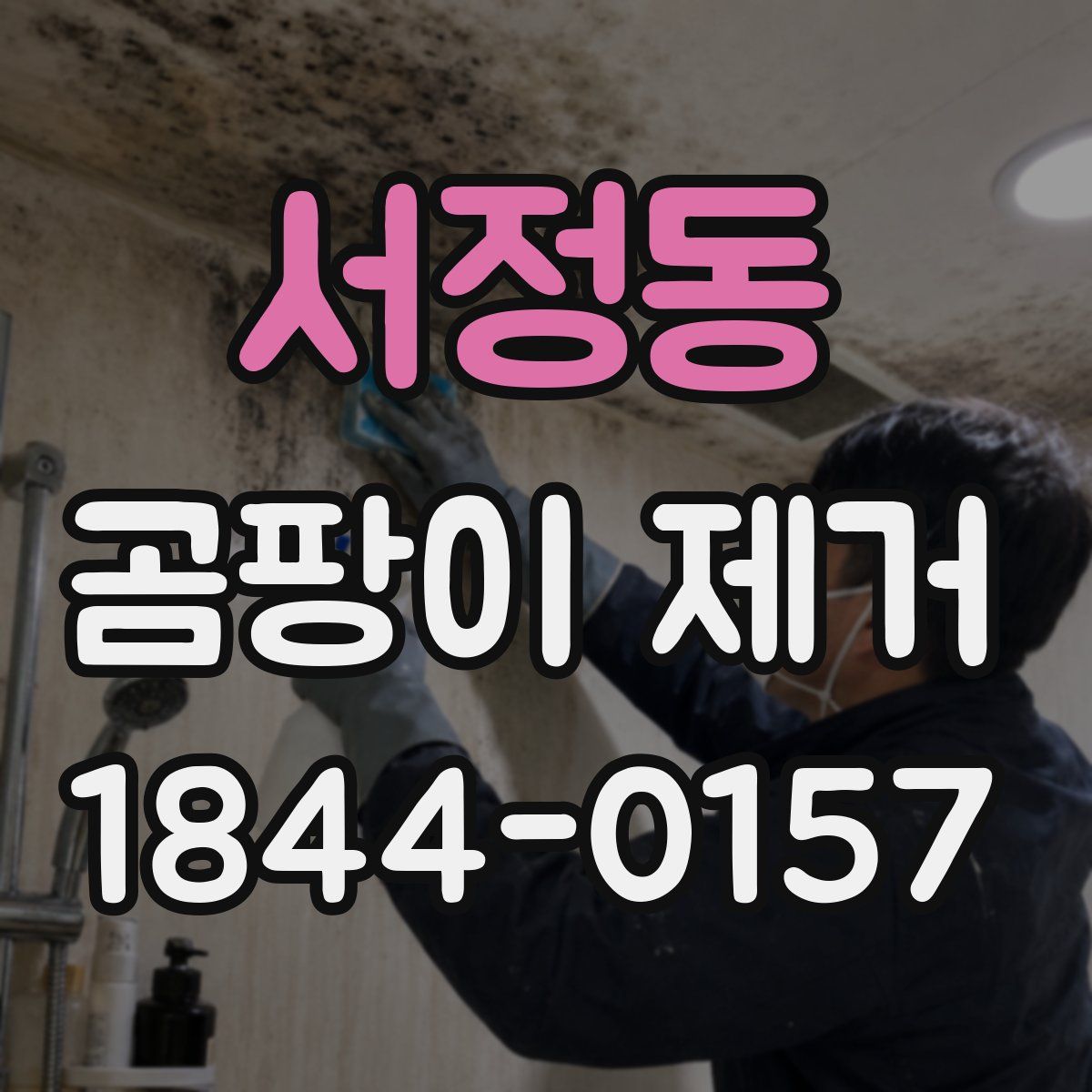 서정동 곰팡이 제거
