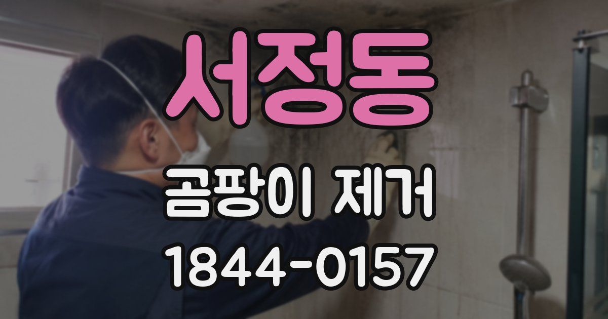 서정동 곰팡이 제거