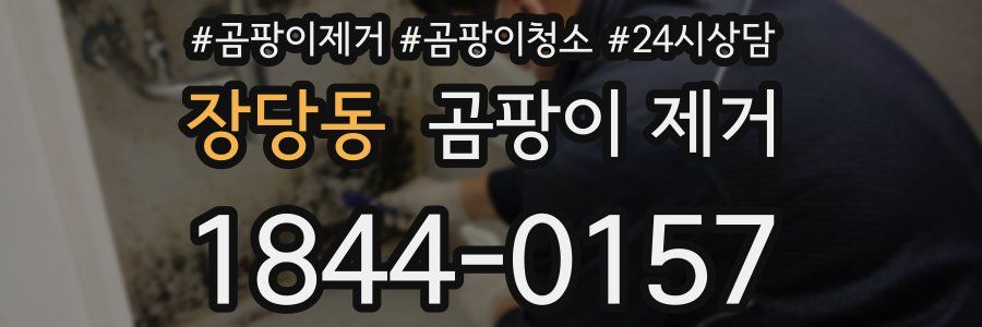 장당동 곰팡이 제거