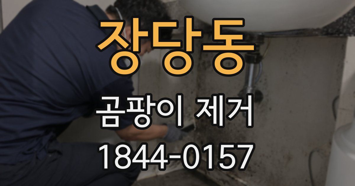 장당동 곰팡이 제거