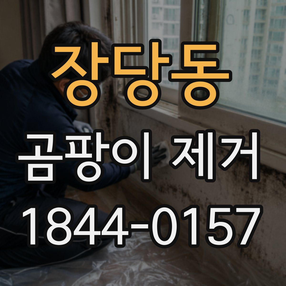 장당동 곰팡이 제거