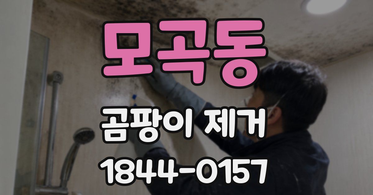 모곡동 곰팡이 제거