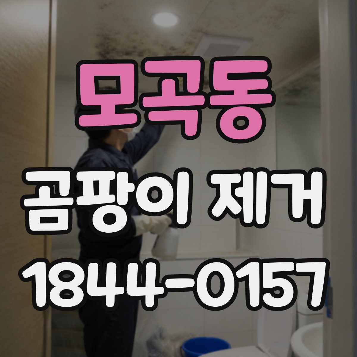 모곡동 곰팡이 제거