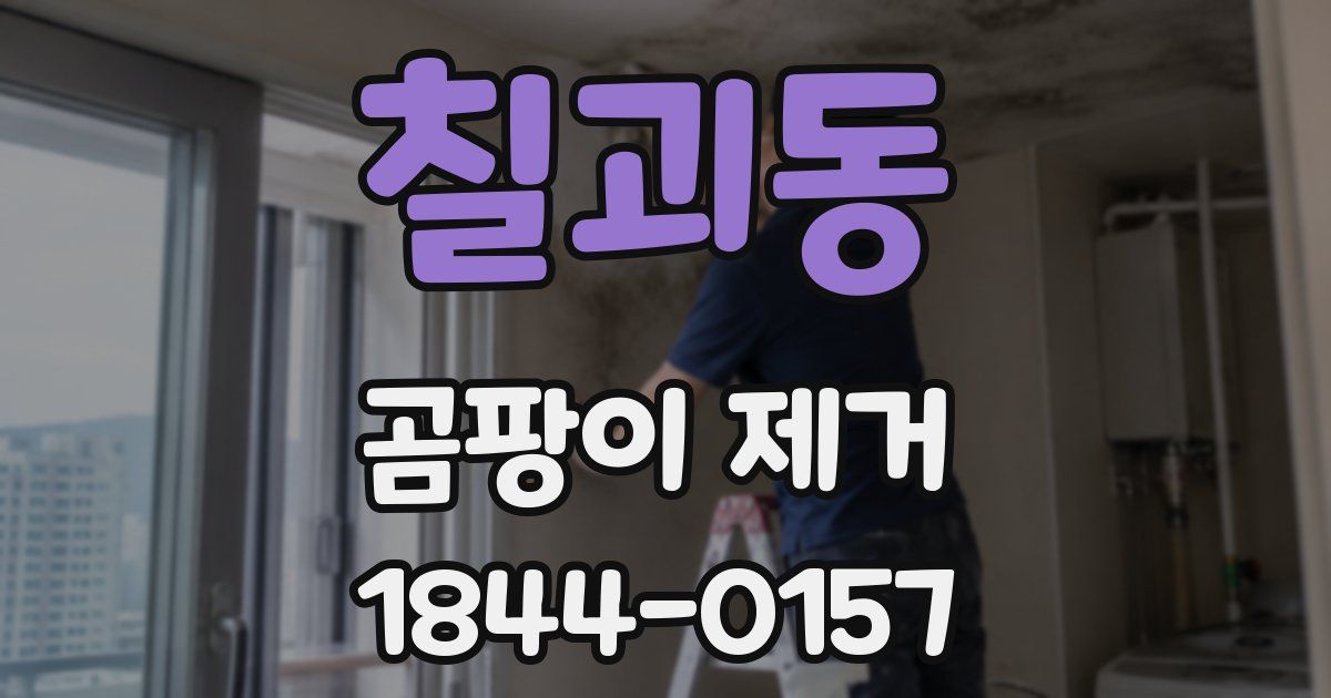 칠괴동 곰팡이 제거