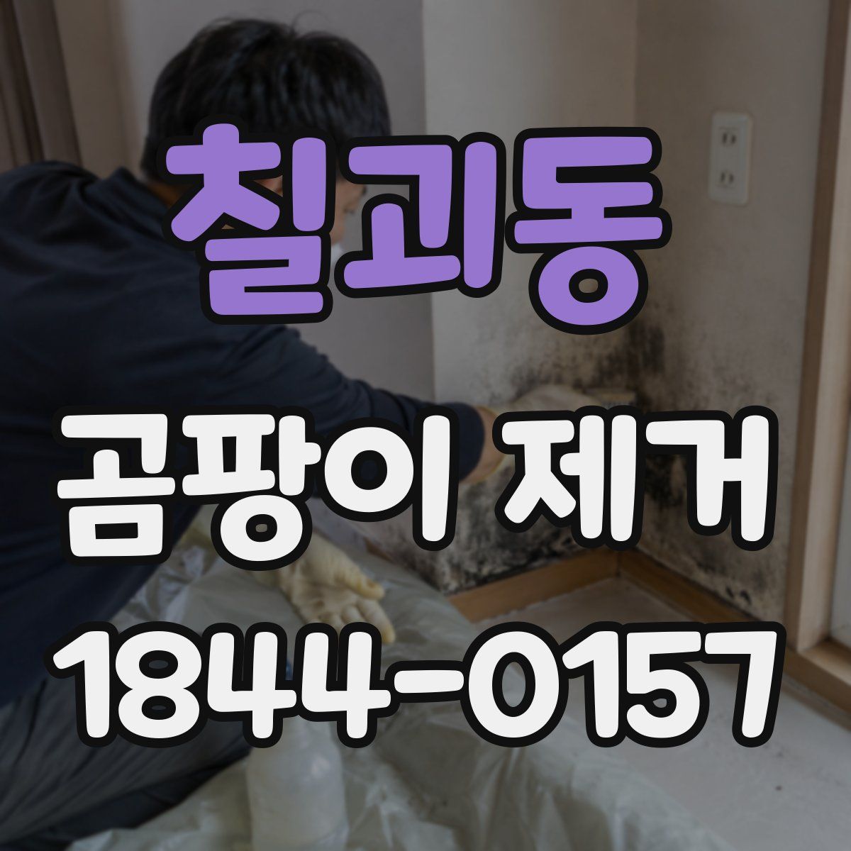 칠괴동 곰팡이 제거