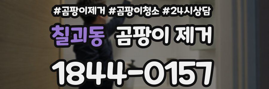 칠괴동 곰팡이 제거