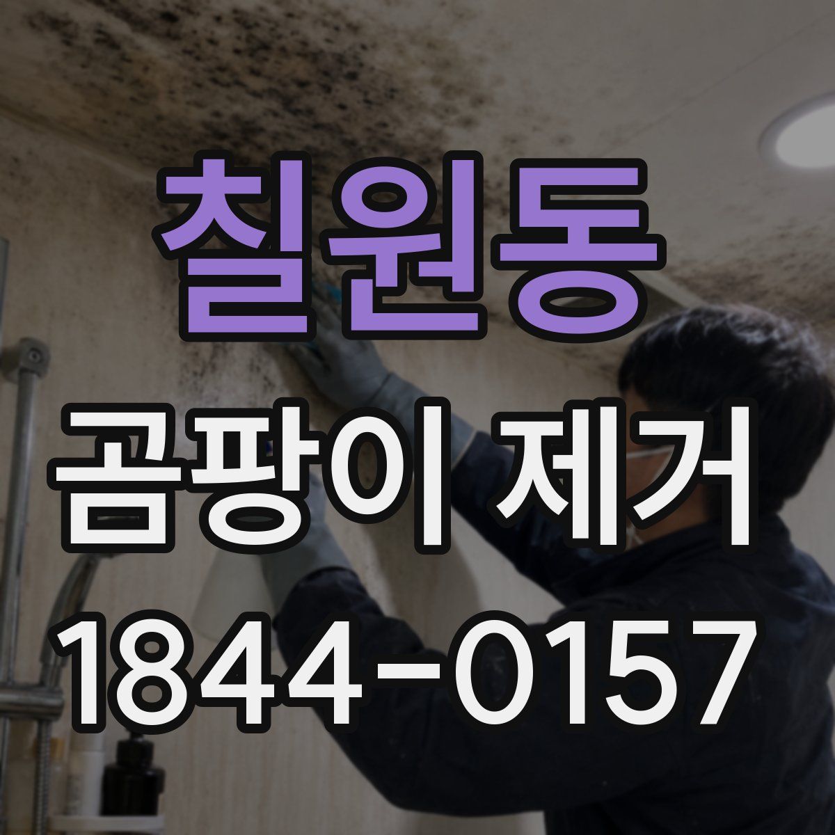 칠원동 곰팡이 제거