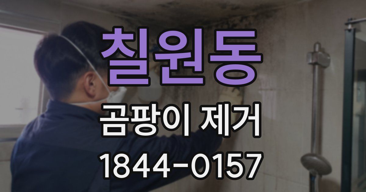 칠원동 곰팡이 제거