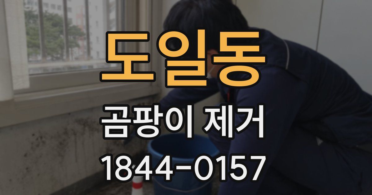 도일동 곰팡이 제거