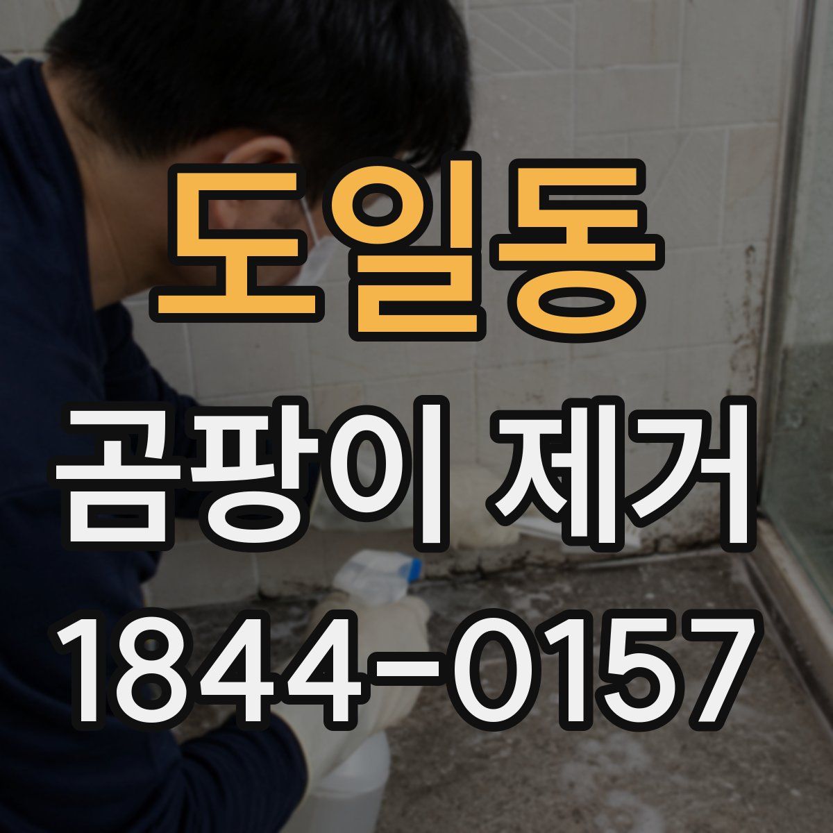 도일동 곰팡이 제거