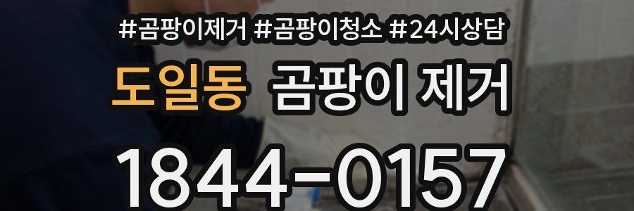 도일동 곰팡이 제거